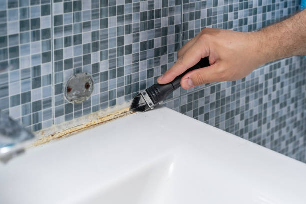 Best Office Mold Removal Services  in Coopertown, TN