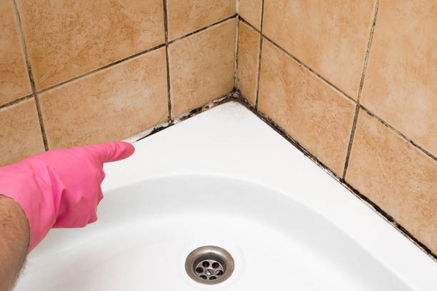 Best Office Mold Removal Services  in Coopertown, TN